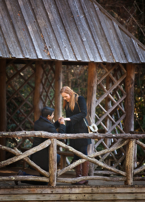 engagement photographer in Asheville