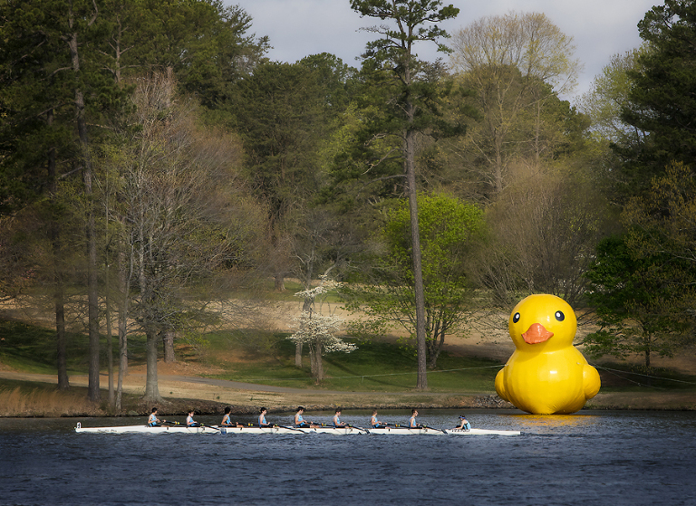 rowing by the yellow duck in High Point